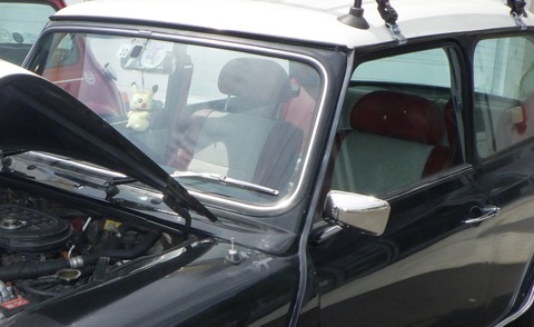 Image1