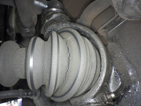 KAJI1396