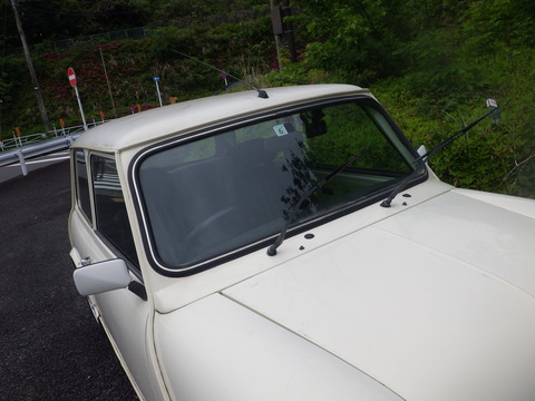 KIKU3271