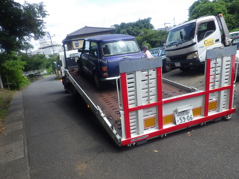 KIKU8576