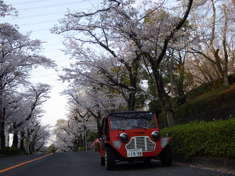 ISK_0820