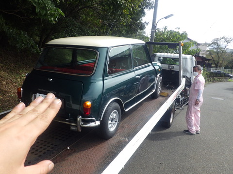 KIKU1630