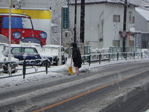 SQOR6560