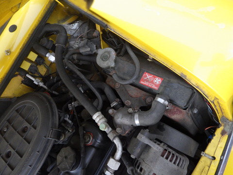 ISK_5594