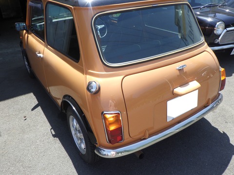 KAJI3536