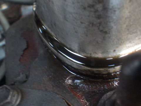 KIKU1355