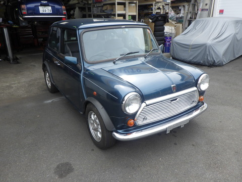 KAJI4009