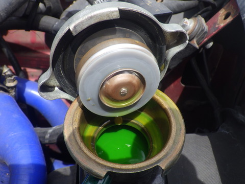 KIKU5281