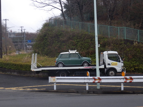 KIKU8942