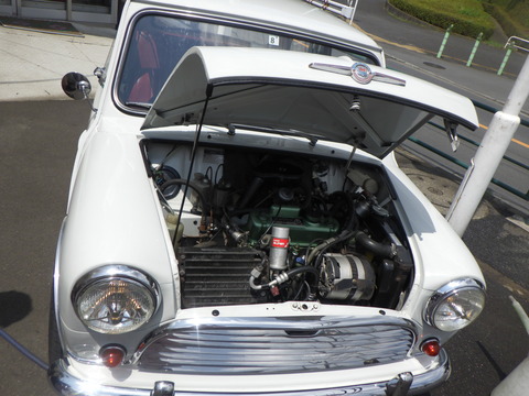 KAJI3566