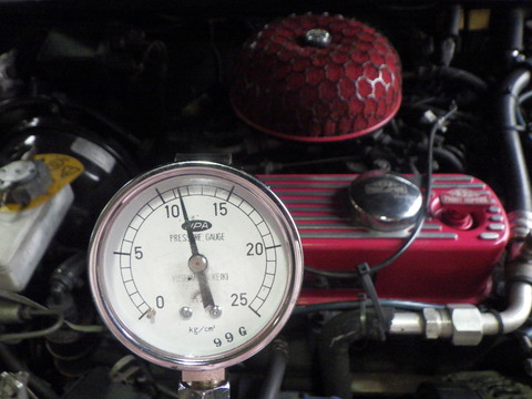 KAJI1253