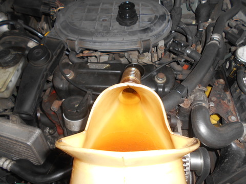 DSCN5850