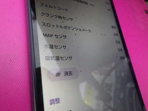 KIKU0237