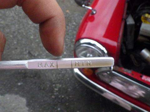 KIKU7956
