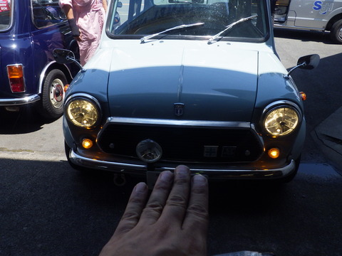 KIKU4044