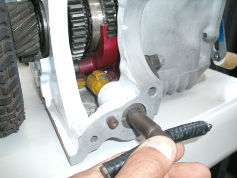 GEDC0163