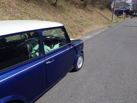 SQOR8288