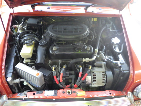 SQOR4633