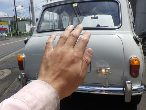KAJI3569