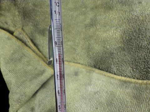 KAJI3591