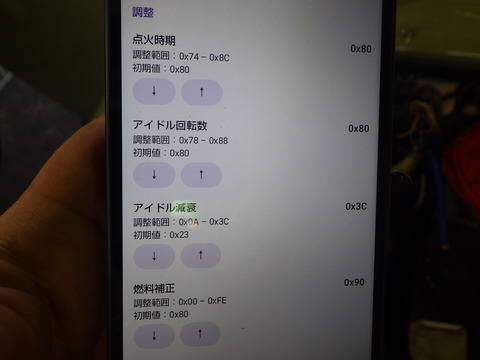 ISK_1498
