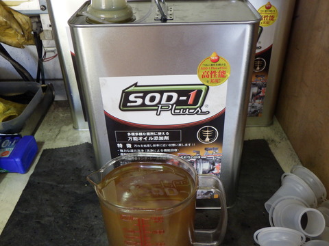 KAJI3079