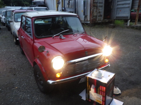 KIKU7960