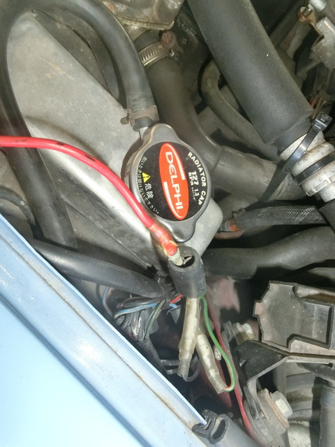 CIMG2504