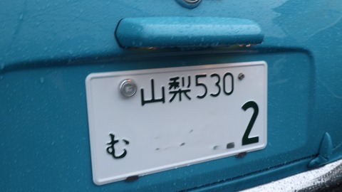 TERU49522