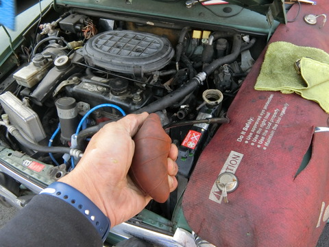 CIMG5991