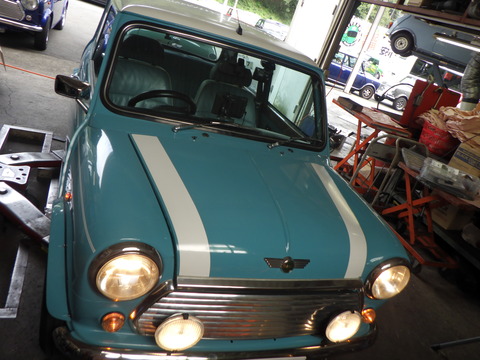 KAJI4392