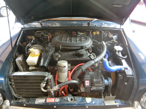 CIMG6624