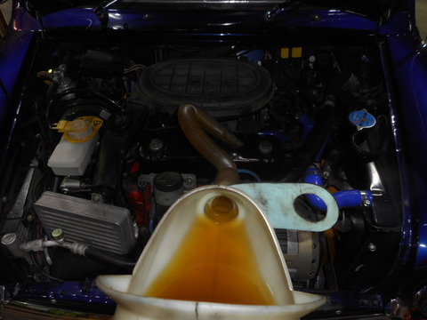 DSCN7956