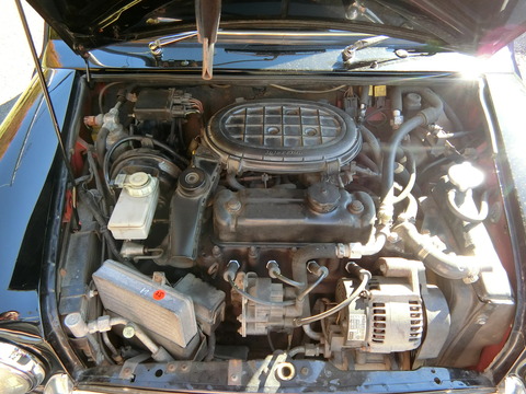 CIMG1425