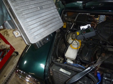 P1020225 (2)