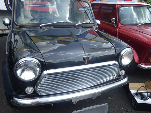 KIKU9387