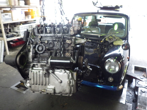 KUBO5033