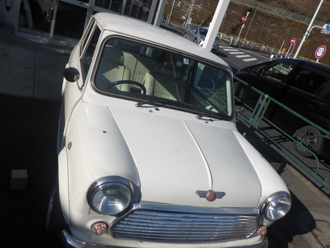 KAJI1293