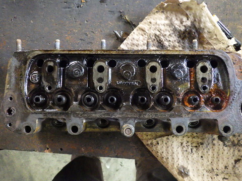 KIKU5093