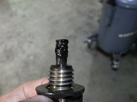 KAJI5423