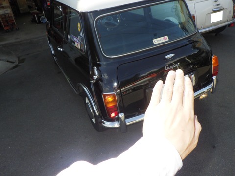 KAJI5566