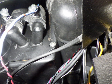 KAJI0569