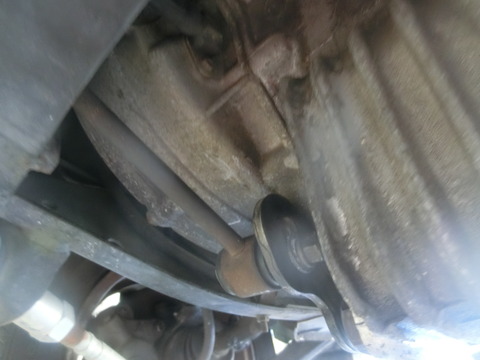 CIMG5584