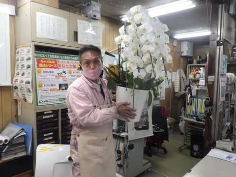 AZM_7566