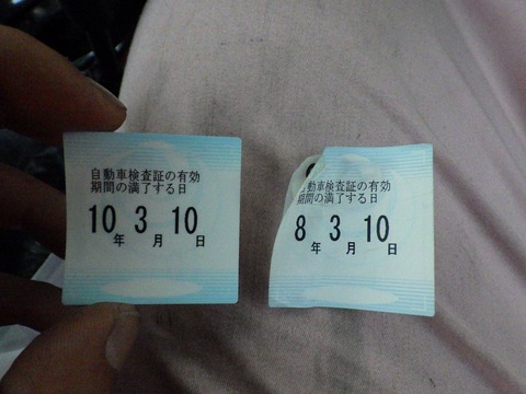 KIKU3556