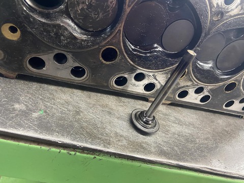 1cc1a094-5c45-4198-b749-5e582be11433