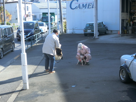 CIMG0654