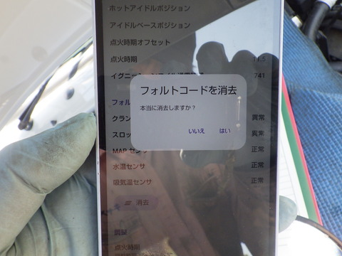 KIKU3419