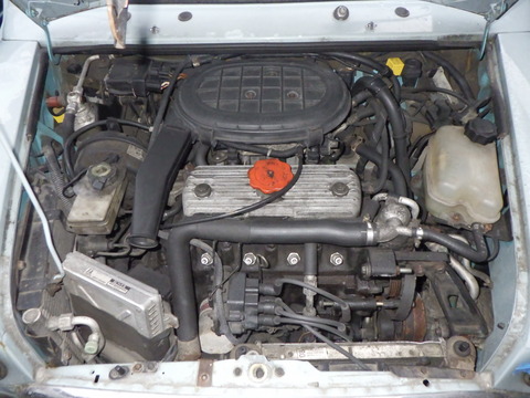 KAJI7317