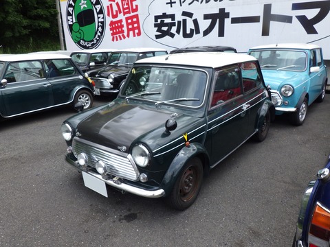 AZM_9588